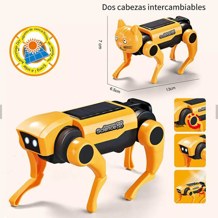 Haz clic para ver más imágenes ZO-9991