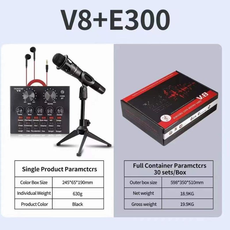 MIC-E300