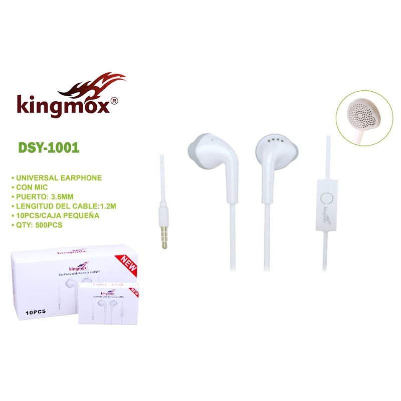 DSY-1001